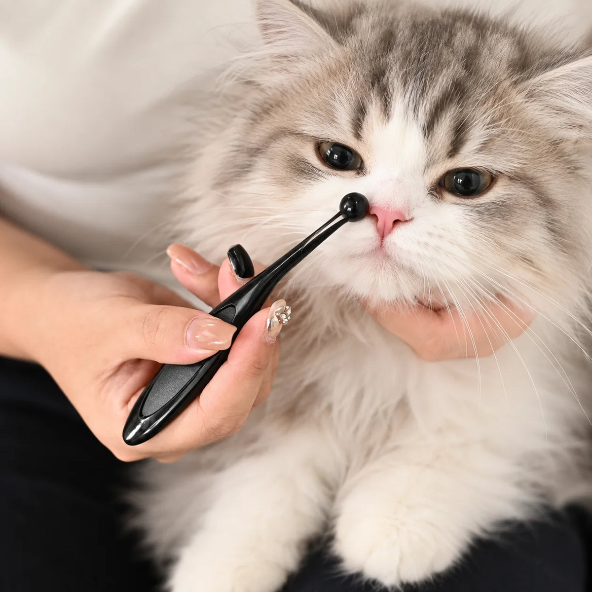 60 Sets/Carton 5PCS Pet Eye Cleaning Brush Soft Bristle Cat Dog Tear Stain Grooming Brush for Face Nose Care