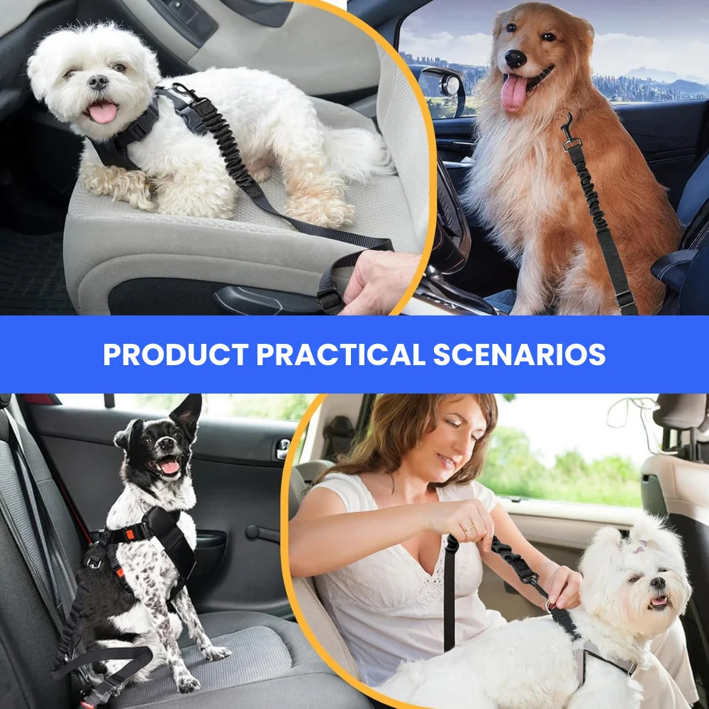 40PCS/Carton 4 Colors Assorted Adjustable Dog Car Seat Belt Elastic Bungee Pet Safety Leash with 360° Swivel Hook for Vehicle Travel
