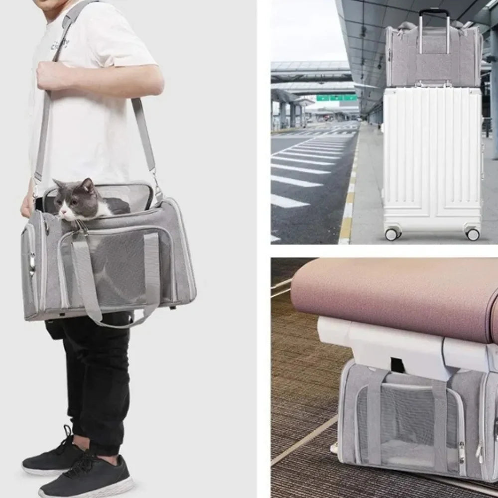 8PCS/Carton Pet Carrier Bag for Cats and Small Dogs Breathable Mesh Portable Travel Shoulder Bag Car Seat Carrier 2 Colors Mixed